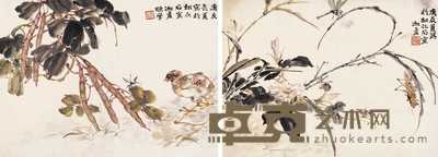 陈摩 秋花 小鸡　 册页镜心（二件） 46×34cm×2